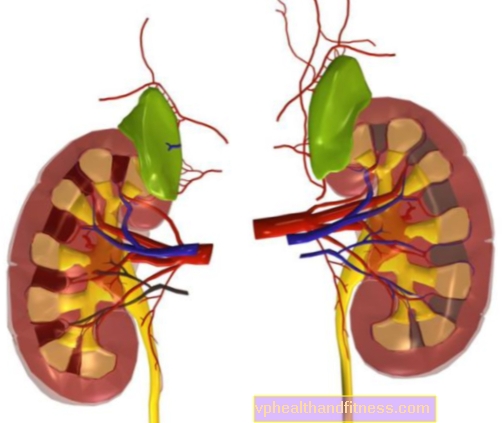 Nefrólogo o riñones para ser examinados: síntomas perturbadores de enfermedades renales