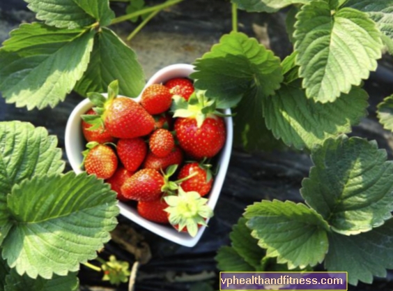 Jordbær kosmetik. Opskrifter til hjemmelavet jordbær kosmetik