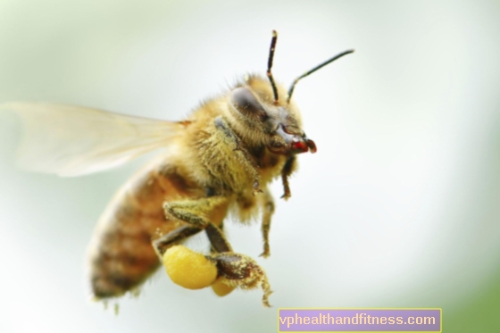Propóleo, jalea real, cera de abejas, polen como ingredientes cosméticos.