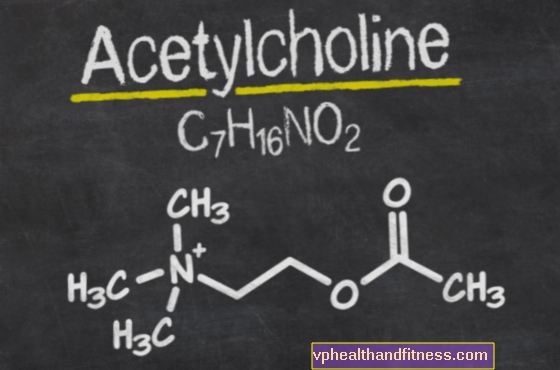 Ацетилхолин - један од најважнијих неуротрансмитера у нервном систему