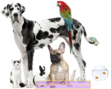 Алергия към домашни любимци: кучета, котки, риби, папагали ...
