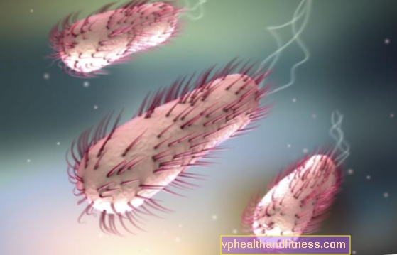 Bacteria E. coli: ¿cuáles son los síntomas del envenenamiento, cuál es el riesgo de infección?