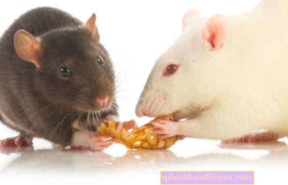 Bromadiolona: veneno para ratas potencialmente mortal