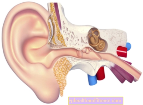 Struktura ucha: vnější, vnitřní a střední ucho