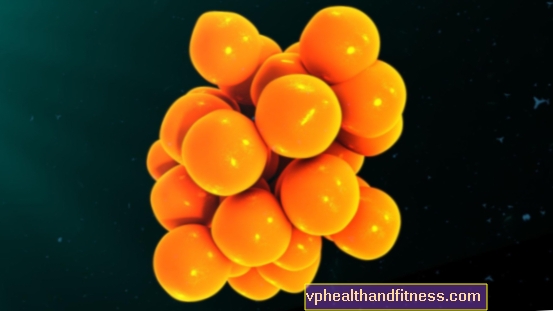 Хемокини и тяхната роля в имунитета