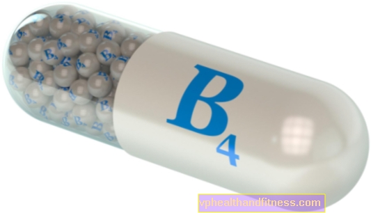 Colina (vitamina B4): acción y fuentes de aparición