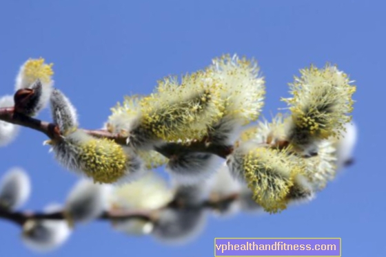 ¿Qué polvos en abril? ¿Qué polen causa alergia en abril?