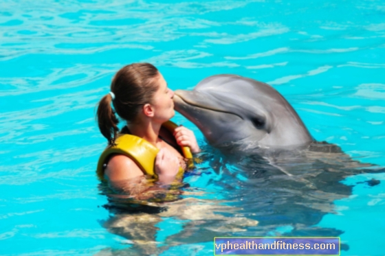 Terapia con delfines: efectos y opiniones de los científicos