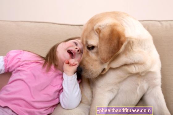 DOG THERAPY - DOG के संपर्क का चिकित्सीय उपयोग