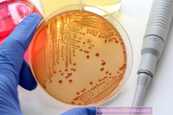 Escherichia coli: se está probando un nuevo fármaco en la lucha contra el tipo de bacteria EHEC