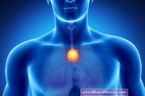 Thymus: hvad er en thymus, og hvad er dens funktioner?