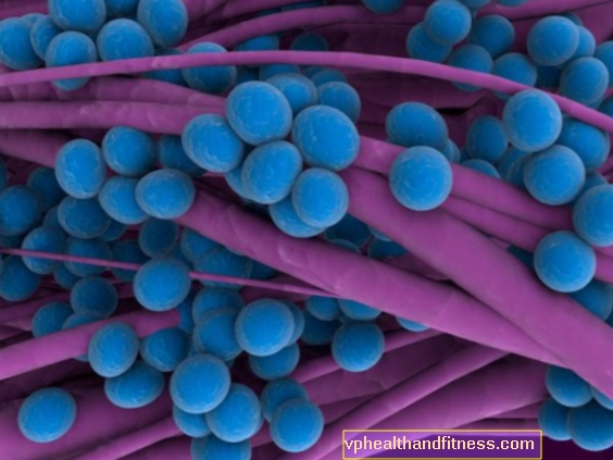 Staphylococcus: charakteristické příznaky a léčba stafylokokové infekce