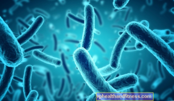Campilobacteriosis: síntomas y tratamiento