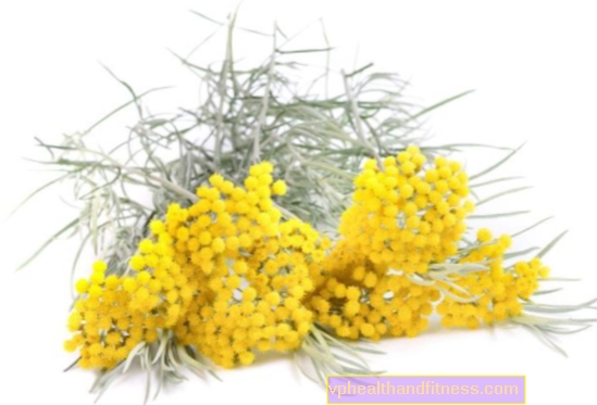 Helichrysum para la salud y la belleza. Propiedades y aplicación de Helichrysum
