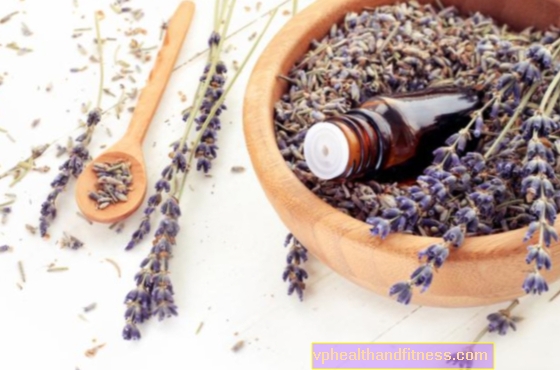 Lavender: sifat penyembuhan dan aplikasi