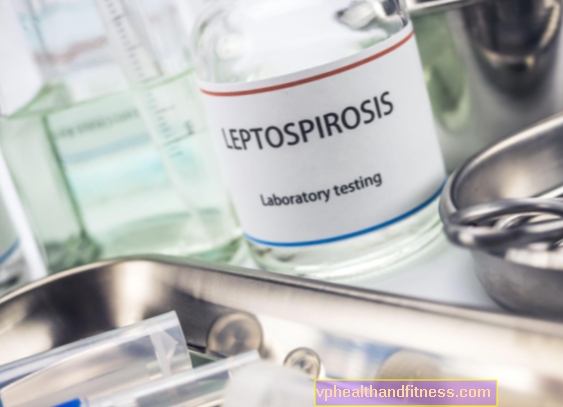 Leptospiros - en zoonotisk sjukdom orsakad av vattenföroreningar
