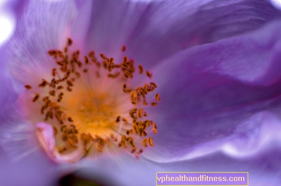 PRE-TEMPLE TENSION - polen en la lucha contra el síndrome premenstrual