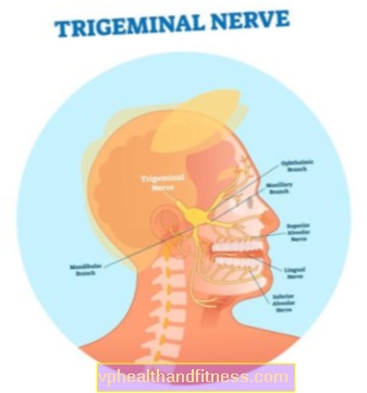 Nervio trigémino: estructura, ubicación, función, enfermedades