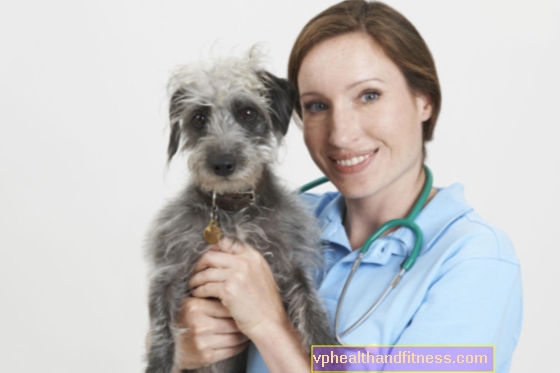 Neris i en hund - årsaker, symptomer, behandling