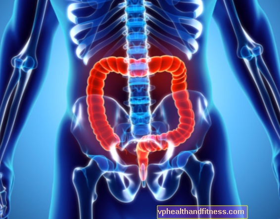 Debelo crijevo: građa, funkcije, bolesti