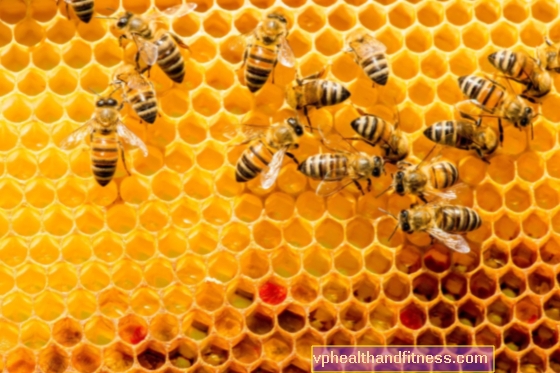 การเลี้ยงผึ้งคือความหลงใหลในผึ้งความหลงใหลและวิถีชีวิต