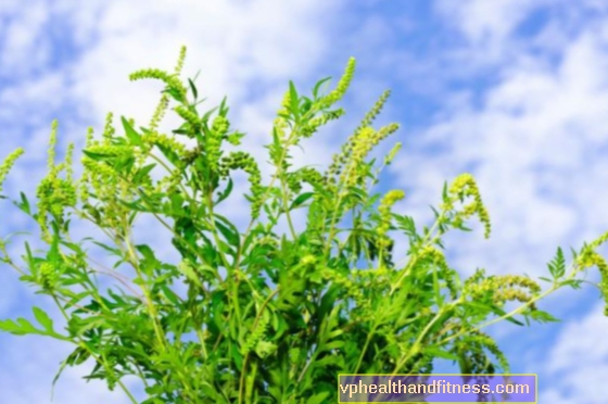 Sensibiliserande växter. Vilka växter orsakar allergier mest?