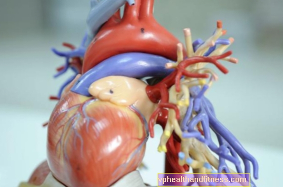 El corazón: la bomba perfecta. Estructura y función del corazón.