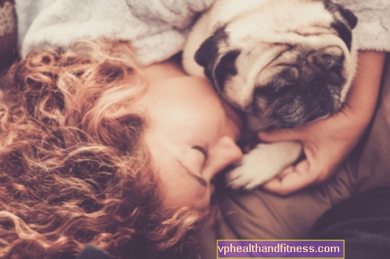 Dormir con un perro: pros y contras