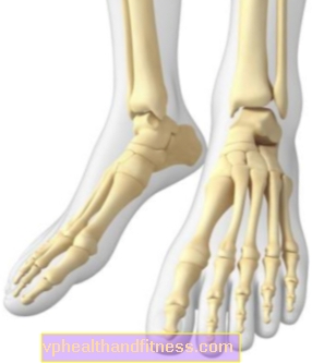 ARTICULACIÓN DEL TOBILLO: estructura y las lesiones más comunes de la articulación del tobillo