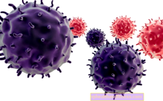 ¿La terapia con fagos (terapia con fagos, terapia con fagos) es más efectiva que los antibióticos?