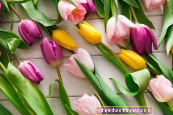 Tulip: Kelopak, batang dan daun beracun yang boleh dimakan