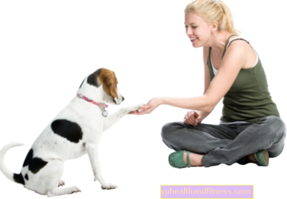 La influencia de un perro en la salud humana. ¿Cómo cuidar a un perro?