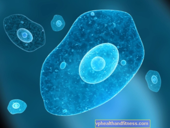 Infección por ameba (negleriosis): causas, síntomas y tratamiento