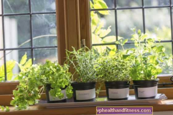 Hierbas fotosensibilizantes: ¿qué hierbas te hacen alérgico al sol? 