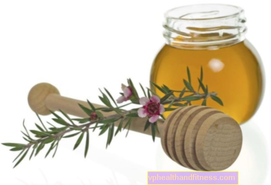 Miel de hierbas. Cómo utilizar estos productos apícolas naturales