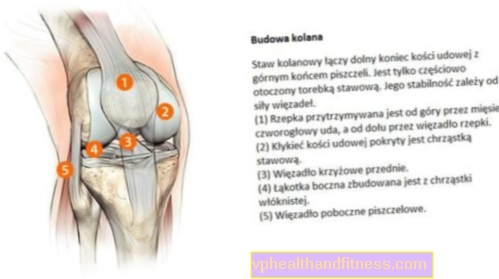 Degenerace kolenních kloubů (gonartróza). Příčiny a léčba degenerace kolena